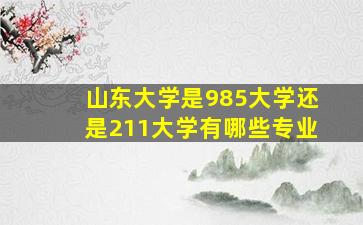 山东大学是985大学还是211大学有哪些专业