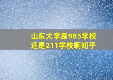 山东大学是985学校还是211学校啊知乎