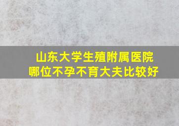 山东大学生殖附属医院哪位不孕不育大夫比较好