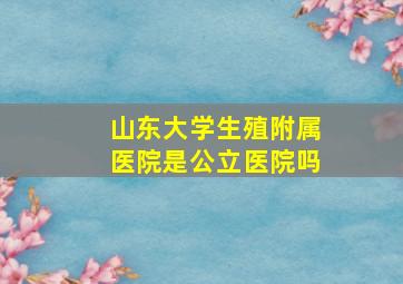 山东大学生殖附属医院是公立医院吗