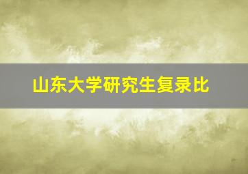 山东大学研究生复录比