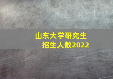 山东大学研究生招生人数2022