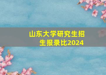 山东大学研究生招生报录比2024