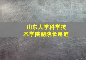 山东大学科学技术学院副院长是谁