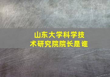 山东大学科学技术研究院院长是谁