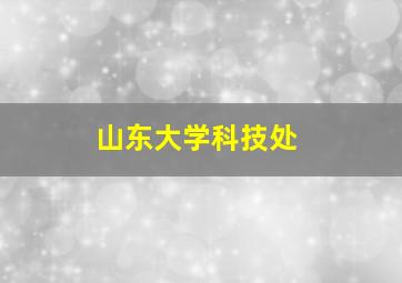 山东大学科技处