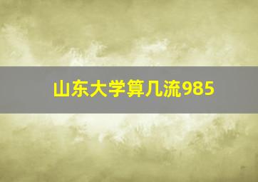 山东大学算几流985