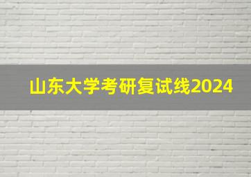 山东大学考研复试线2024