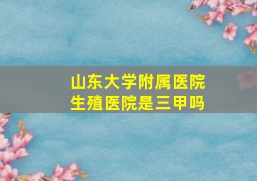 山东大学附属医院生殖医院是三甲吗