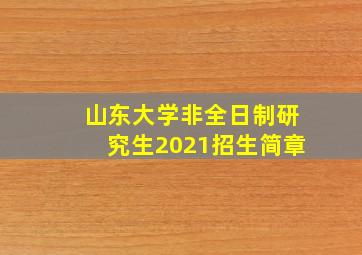 山东大学非全日制研究生2021招生简章