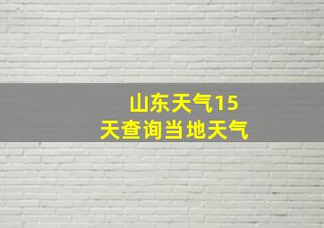 山东天气15天查询当地天气