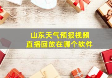 山东天气预报视频直播回放在哪个软件