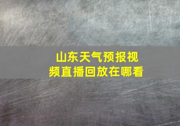 山东天气预报视频直播回放在哪看