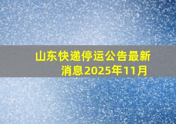 山东快递停运公告最新消息2025年11月