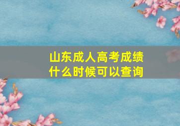 山东成人高考成绩什么时候可以查询