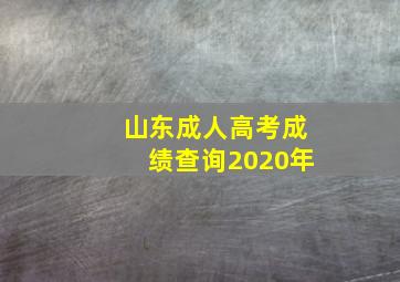 山东成人高考成绩查询2020年