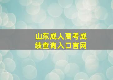 山东成人高考成绩查询入口官网