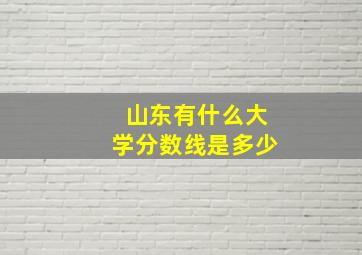 山东有什么大学分数线是多少