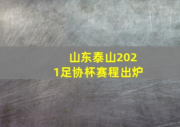 山东泰山2021足协杯赛程出炉