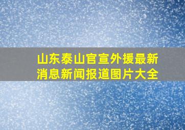 山东泰山官宣外援最新消息新闻报道图片大全