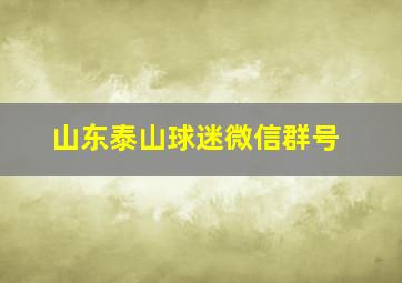 山东泰山球迷微信群号