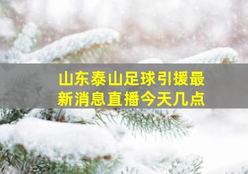 山东泰山足球引援最新消息直播今天几点