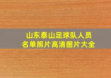 山东泰山足球队人员名单照片高清图片大全