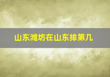 山东潍坊在山东排第几