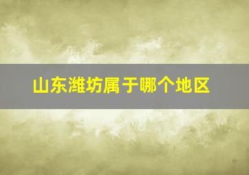 山东潍坊属于哪个地区