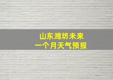 山东潍坊未来一个月天气预报