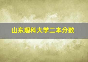 山东理科大学二本分数