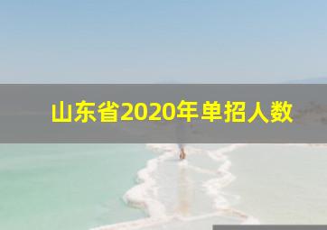 山东省2020年单招人数