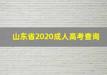 山东省2020成人高考查询