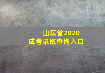 山东省2020成考录取查询入口