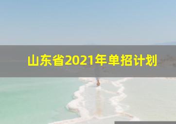 山东省2021年单招计划