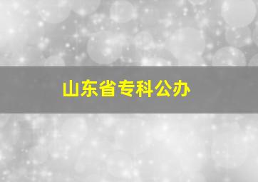 山东省专科公办