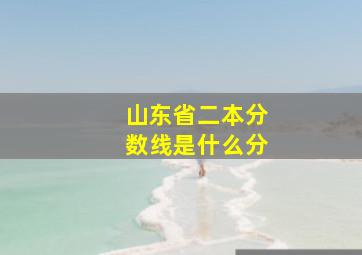 山东省二本分数线是什么分