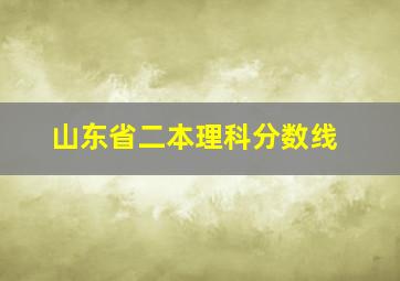 山东省二本理科分数线