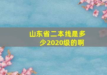 山东省二本线是多少2020级的啊