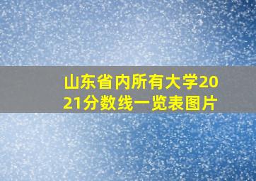 山东省内所有大学2021分数线一览表图片