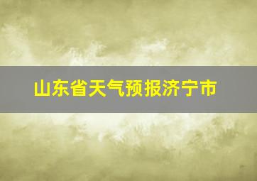 山东省天气预报济宁市