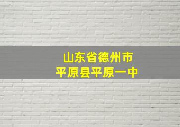 山东省德州市平原县平原一中