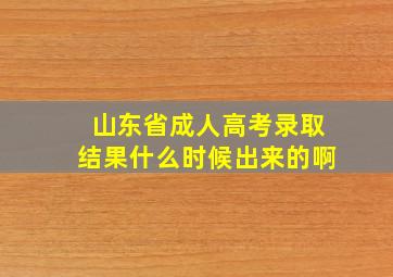 山东省成人高考录取结果什么时候出来的啊