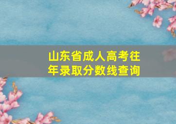 山东省成人高考往年录取分数线查询