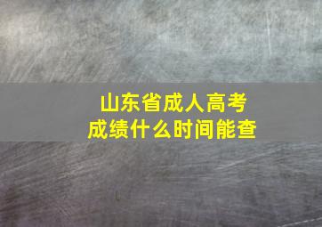 山东省成人高考成绩什么时间能查