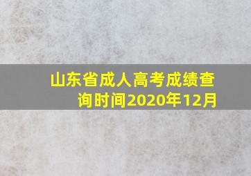 山东省成人高考成绩查询时间2020年12月