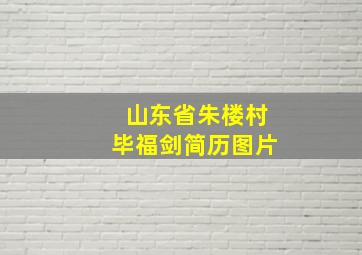 山东省朱楼村毕福剑简历图片