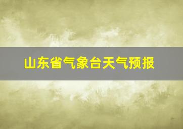 山东省气象台天气预报