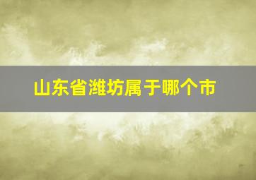 山东省潍坊属于哪个市