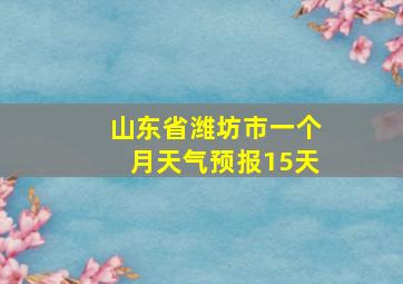 山东省潍坊市一个月天气预报15天